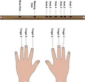 dizi_finger_positions.png